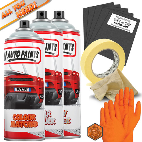 Professional aerosol spray - aerosol,